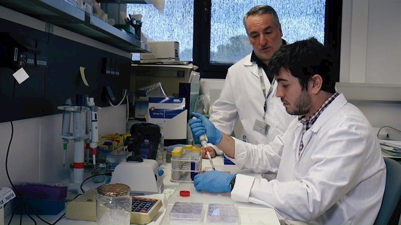 ep investigadores del imibic