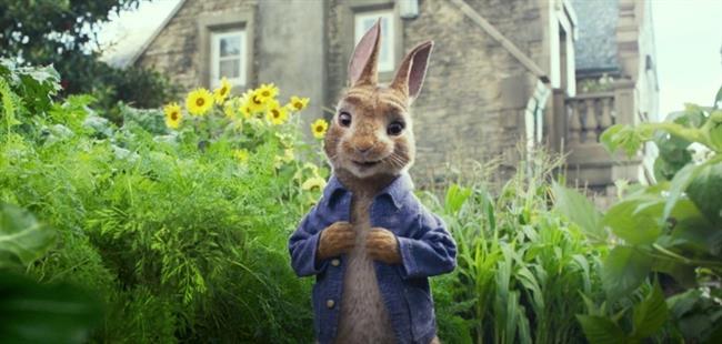 La nueva película de Dani Rovira Peter Rabbit | SONY PICTURES ep la nueva peliculadani rovira peter rabbit
