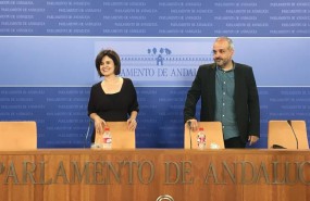 ep la portavoz adjuntapodemos esperanza gomez ydiputado jesusmanuel