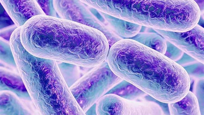 Microbiota, microbioma intestinal | FLICKR / PROCURAMED SAÚDE - Archivo ep microbiota microbioma intestinal 20190402181510