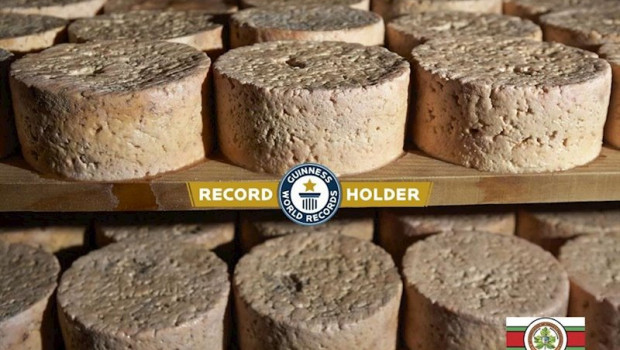 ep queso cabrales con denominacion de origen