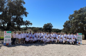 ep reunion de chefs con estrella michelin en sevilla ep reunion de chefs con estrella michelin en sevilla