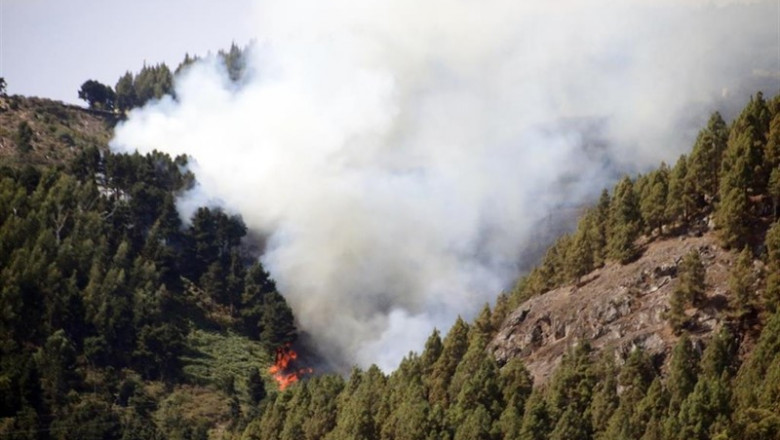 Segunda jornada del incendio de Gran Canaria | Europa Press - Europa Press ep segunda jornadaincendiogran canaria
