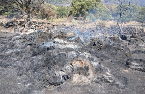ep ugama moviliza ayuda urgente para los ganaderos afectados por el incendio de la sierra oeste y ep ugama moviliza ayuda urgente para los ganaderos afectados por el incendio de la sierra oeste y