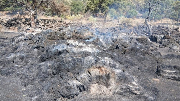 ep ugama moviliza ayuda urgente para los ganaderos afectados por el incendio de la sierra oeste y