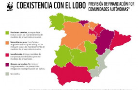 ep wwf denuncia que la mayoria de las comunidades autonomas no aprovechan bien la financiacion