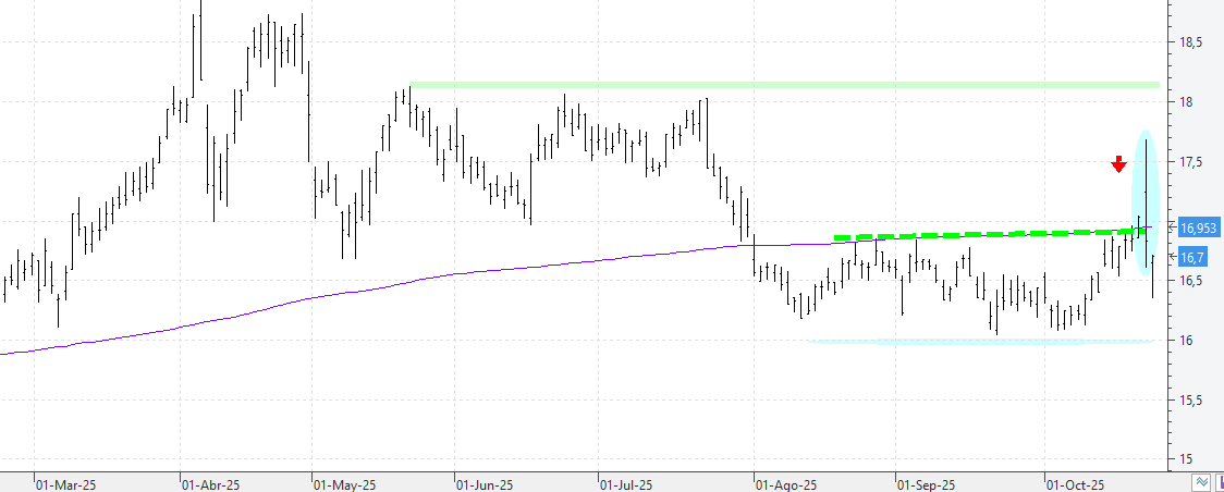 c231025ree c231025ree