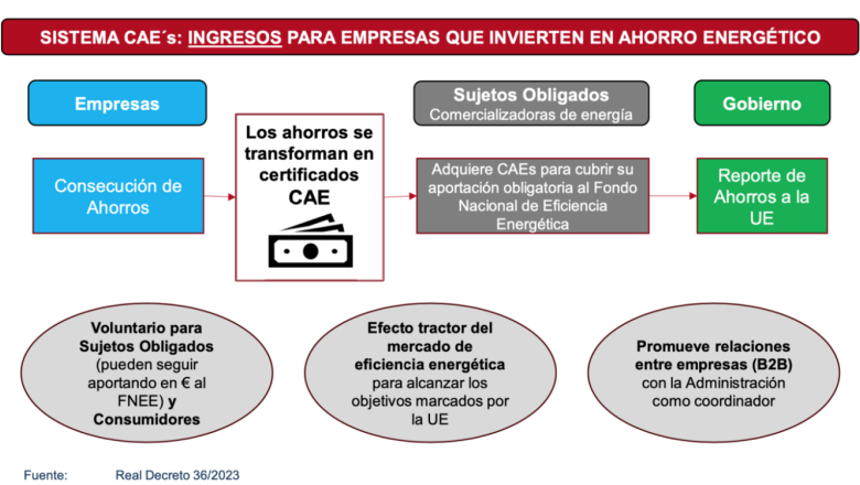 caes 2 1536x768 1 1 caes 2 1536x768 1 1