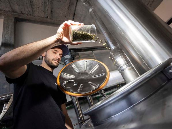 cerveza 20250122143716