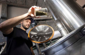 cerveza 20250122143716