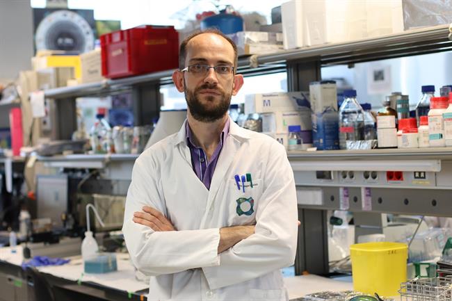 El doctor Jorge Alegre-Cebollada, del CSIC | CEDIDO POR EL CNIC ep doctor jorge alegre-cebollada del csic