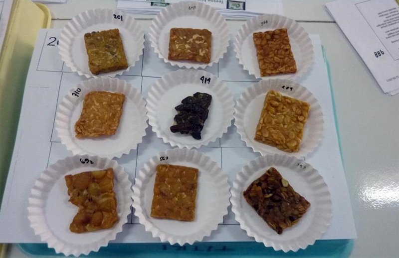 ep estos son los 9 tipos diferentes de tempe que se probaron en el estudio