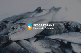 ep pesca  la organizacion de productores de pesca fresca del puerto de vigo se incorpora a pesca