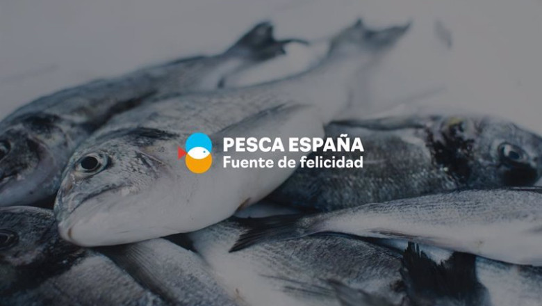ep pesca la organizacion de productores de pesca fresca del puerto de vigo se incorpora a pesca ep pesca la organizacion de productores de pesca fresca del puerto de vigo se incorpora a pesca