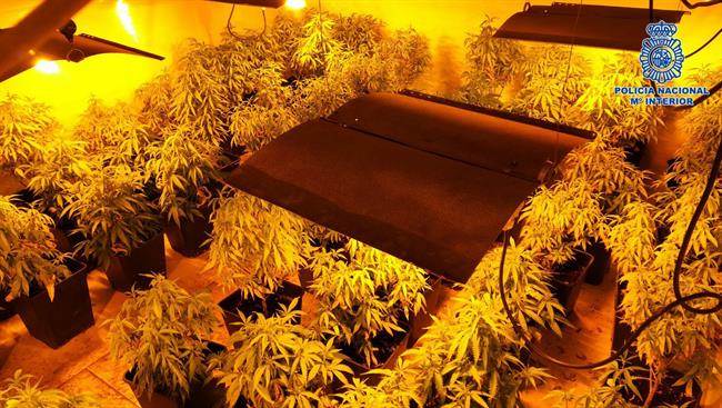 Policía Nacional De Talavera De La Reina Desmantelados Dos Nuevos Laboratorios C | POLICÍA NACIONAL ep policia nacionaltalaverala reina desmanteladosnuevos laboratorios c