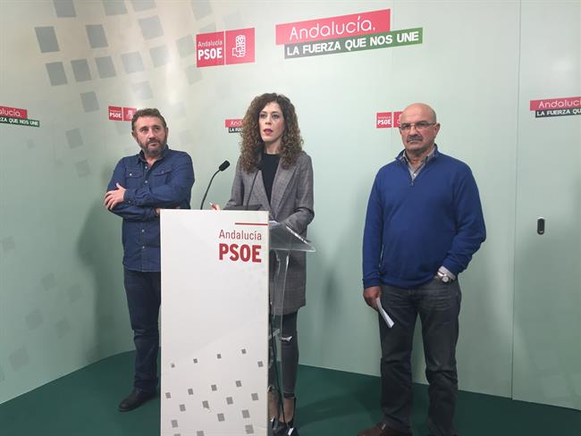 Psoe De Andalucía: Audios Y Foto Miriam Alconchel 02 01 2018 | PSOE-A ep psoeandalucia audiosfoto miriam alconchel 02 01 2018