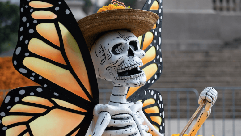 1570026481 captura de pantalla 2019 10 02 a las 162730