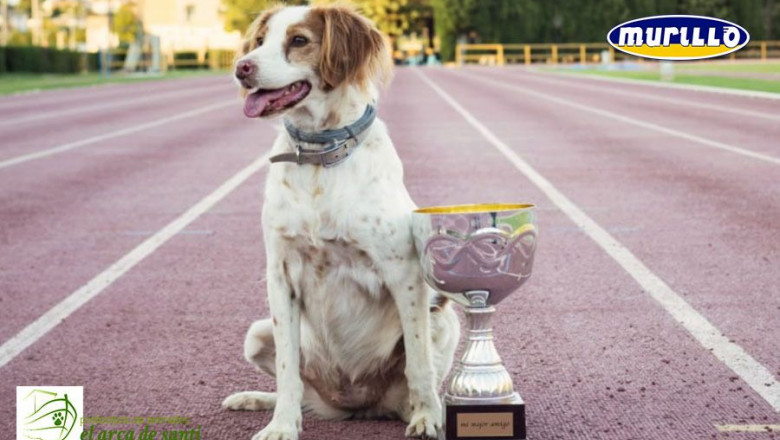 1574929826 post carrera con logo murillo