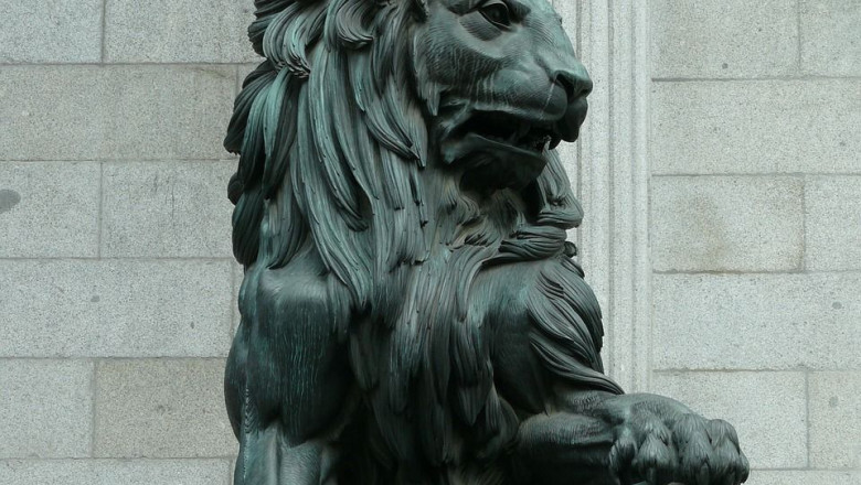 1653391267 leon g9abd9cbf11280