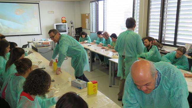 Curso en técnicas de cirugía menor a residentes de Medicina de Familia | SEMG ep cursotecnicascirugia menorresidentesmedicinafamilia