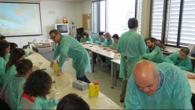 ep cursotecnicascirugia menorresidentesmedicinafamilia