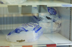 ep detalle de una bolsa de cubos de hielo en un supermercado tras la falta de estos por la gran