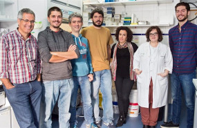 ep el hospital nacional de paraplejicos y universidad de valladolid desarrollaran tecnologia basada