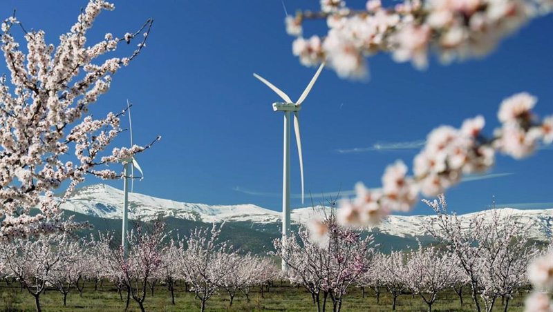 Iberdrola adjudica a Vestas el suministro de turbinas de sus parques eólicos en Grecia
