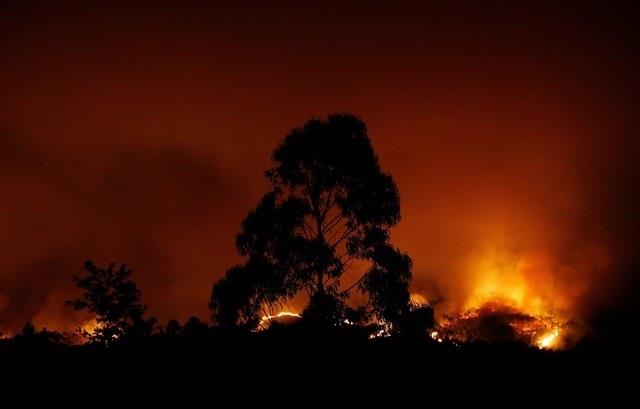 Incendio Portugal | EUROPA PRESS ep incendio portugal