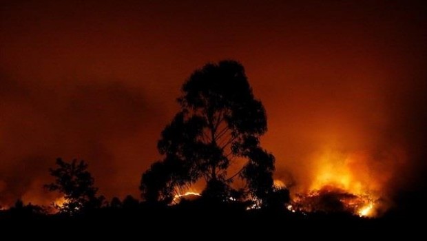 ep incendio portugal