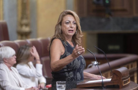 ep la diputada de coalicion canaria cc en el congreso cristina valido ep la diputada de coalicion canaria cc en el congreso cristina valido