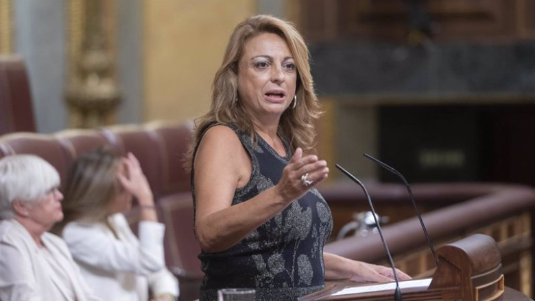 ep la diputada de coalicion canaria cc en el congreso cristina valido ep la diputada de coalicion canaria cc en el congreso cristina valido