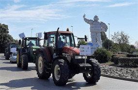 ep movilizacion del sector agrario entrando en jerez en protesta contra el decreto de convergencia