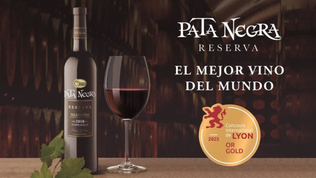 ep pata negra valdepenas reserva 2018 de garcia carrion elegido mejor vino del mundo