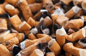 ep tabaco 20171124124003