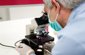 ep un hombre trabaja mirando por un microscopio en el edificio del control de calidad del ep un hombre trabaja mirando por un microscopio en el edificio del control de calidad del
