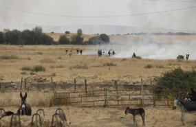 ep varios bomberos tratan de extinguir un fuego