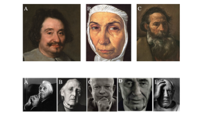 imagenes empleadas en el estudio