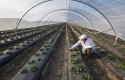 ep archivo   generali lanza su premio enterprize para reconocer a las pymes mas sostenibles