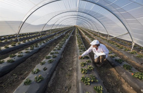 ep archivo   generali lanza su premio enterprize para reconocer a las pymes mas sostenibles