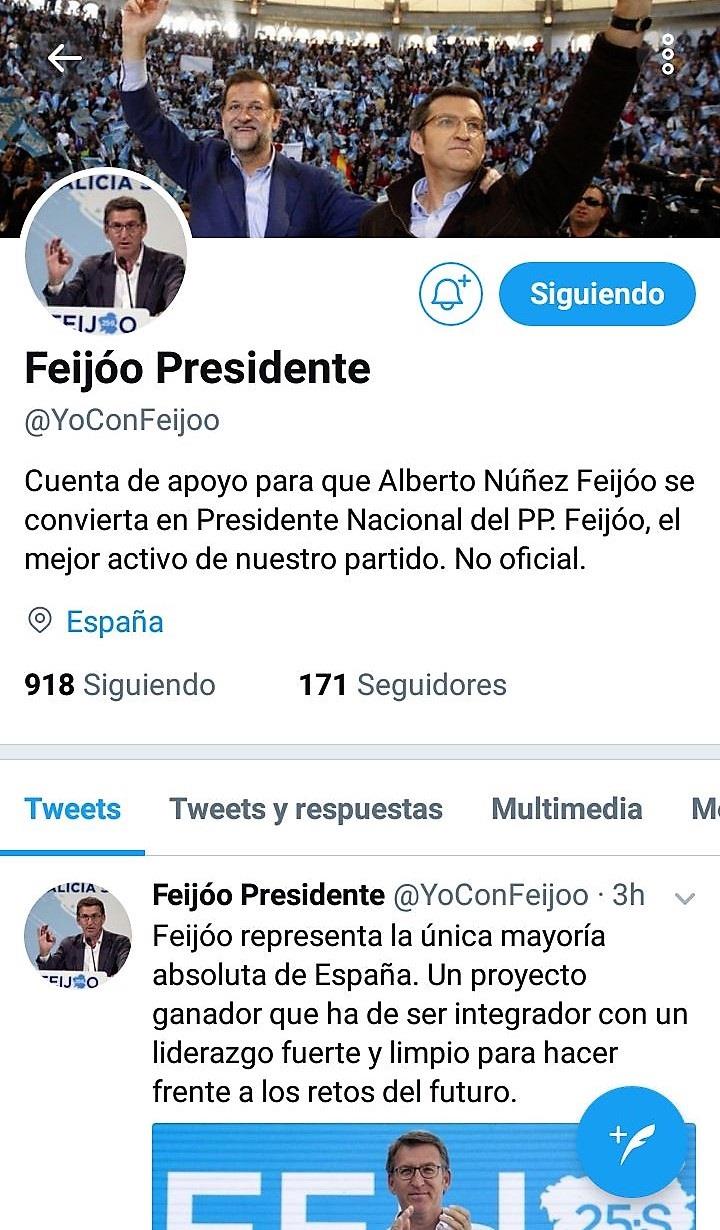 ep cuentaapoyofeijoopresidentepp