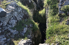 ep el hallazgo fue en la zona oriental de los picos de europa macizo de andara dentro de los limites