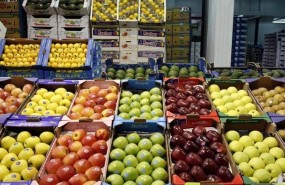 ep fruteria