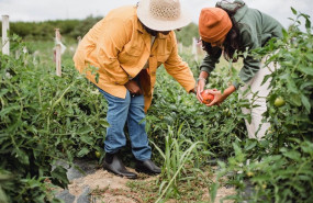 ep hortbio market el mercado para comprar fruta y verdura directamente al agricultor ep hortbio market el mercado para comprar fruta y verdura directamente al agricultor