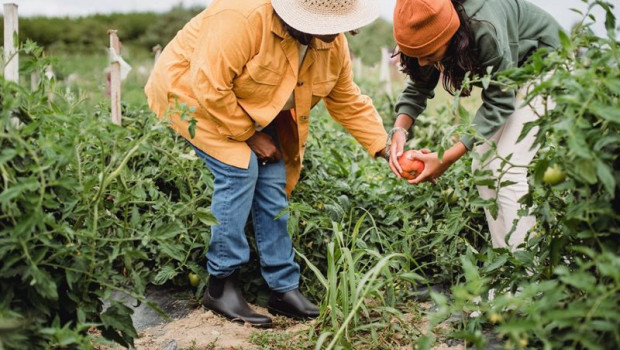 ep hortbio market el mercado para comprar fruta y verdura directamente al agricultor