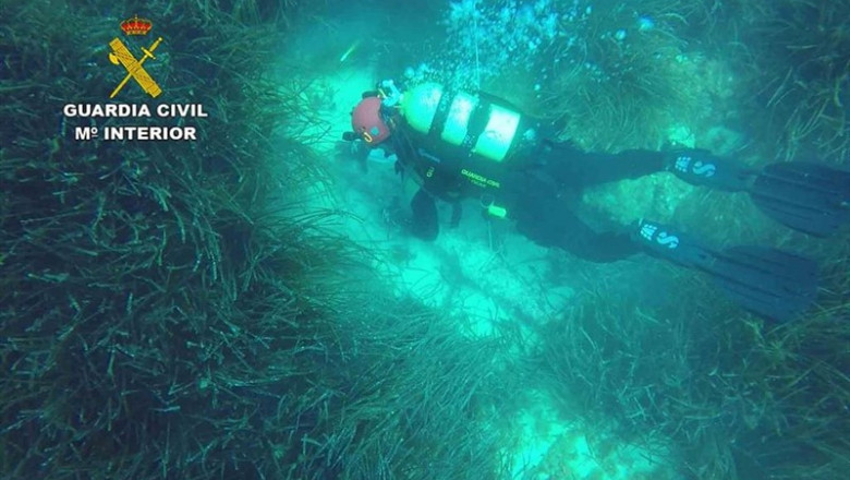 Imagen de un miembro de los GEAS realizando prácticas subacuáticas en aguas de Mallorca. | GUARDIA CIVIL ep imagenun miembrolos geas realizando practicas subacuaticasaguasmallorca