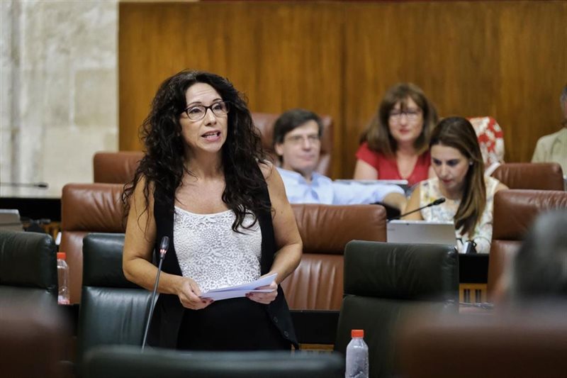 ep la consejera de igualdad politicas sociales y conciliacion rocio ruiz en el parlamento andaluz ep la consejera de igualdad politicas sociales y conciliacion rocio ruiz en el parlamento andaluz