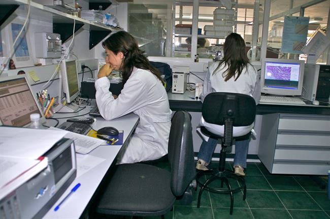 JUNTA DE ANDALUCÍA ep laboratoriohistologia