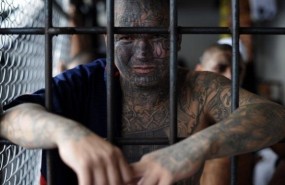 ep mara salvatrucha