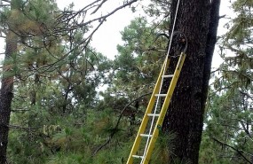 ep rescate 20170712170409